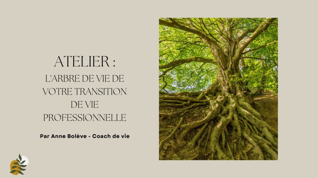 Atelier coaching arbre de vie transition professionnelle